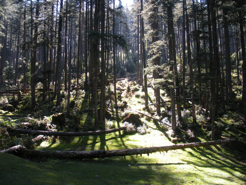 चित्र:Khajjiar-4.jpg