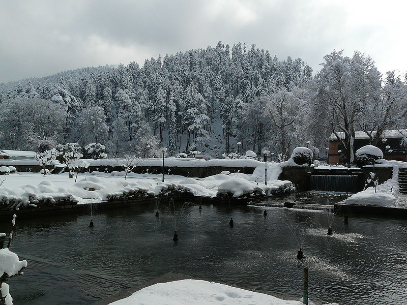 चित्र:Mughal-Garden-Achabal.jpg