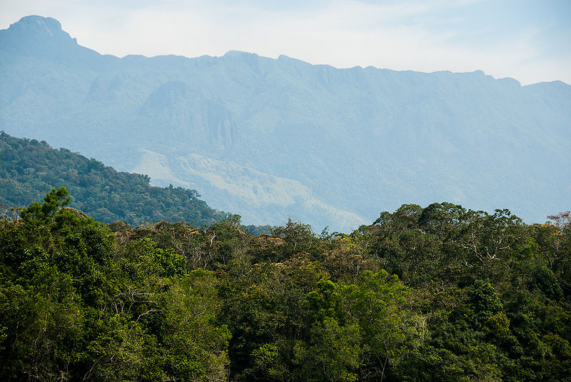 चित्र:Neyyar-Wildlife-Sanctuary.jpg
