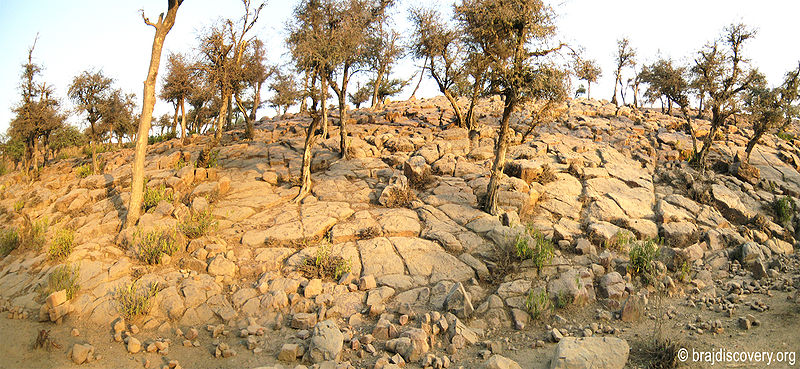 चित्र:Govardhan Parvat Govardhan Mathura.jpg
