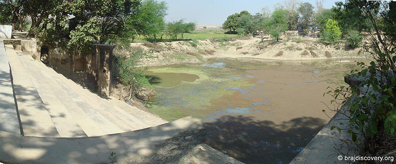 चित्र:Shree-Kund-Kamyavan-Kama-2.jpg