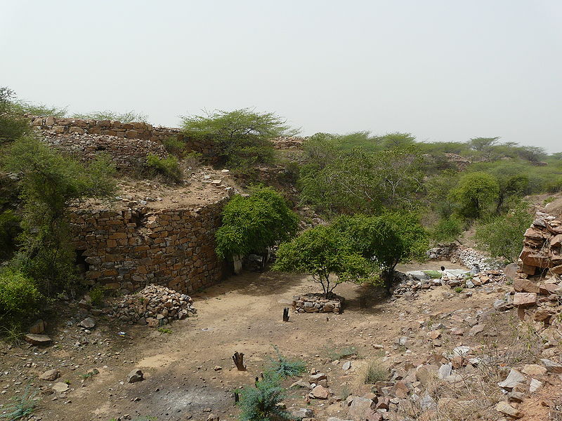 चित्र:Lal-Kot-2.jpg