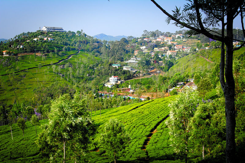 चित्र:Coonoor-1.jpg
