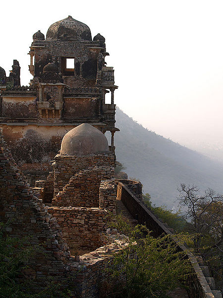 चित्र:Chittorgarh-Fort-6.jpg
