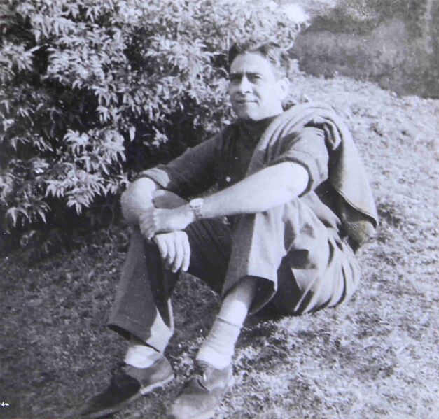 चित्र:Satish Dhawan.jpg