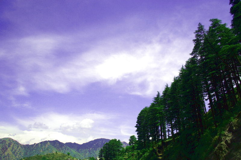 चित्र:Dhanaulti-2.jpg