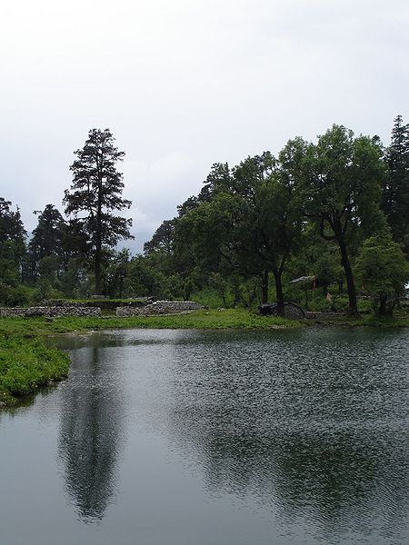 चित्र:Dodi-Tal-1.jpg