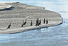 Brahmaputra-River-1.jpg