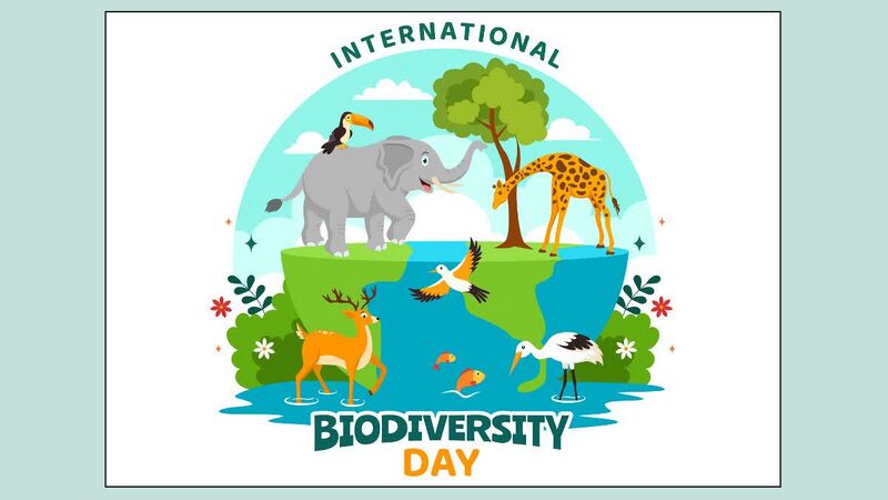 चित्र:International Day for Biological Diversity 2.jpg