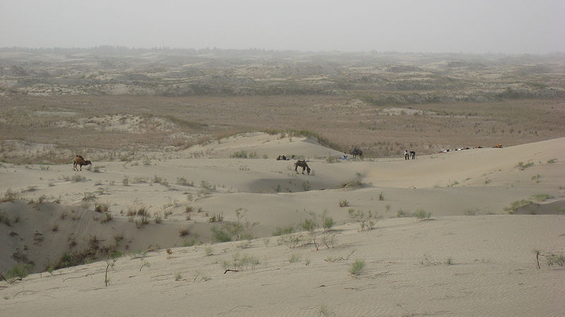 चित्र:Taklamakan-Desert.jpg