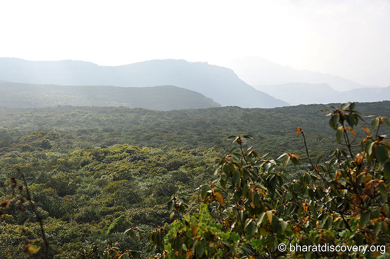 चित्र:Connaught-Peak-Mahabaleshwar-3.jpg