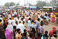 रथ यात्रा, रंग नाथ जी मन्दिर, वृन्दावन Rath Yatra, Rang Nath Ji Temple, Vrindavan