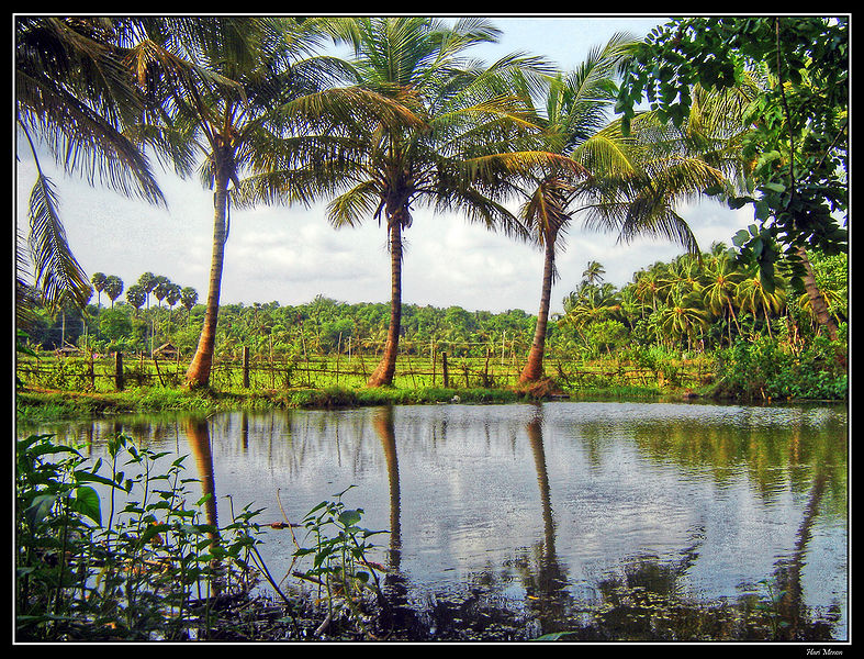 चित्र:Kerala.jpg