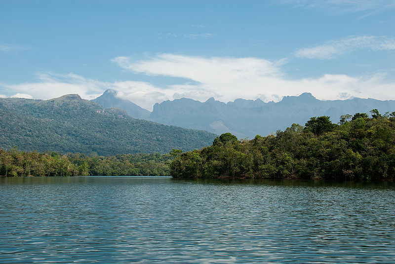 चित्र:Neyyar-Wildlife-Sanctuary-2.jpg