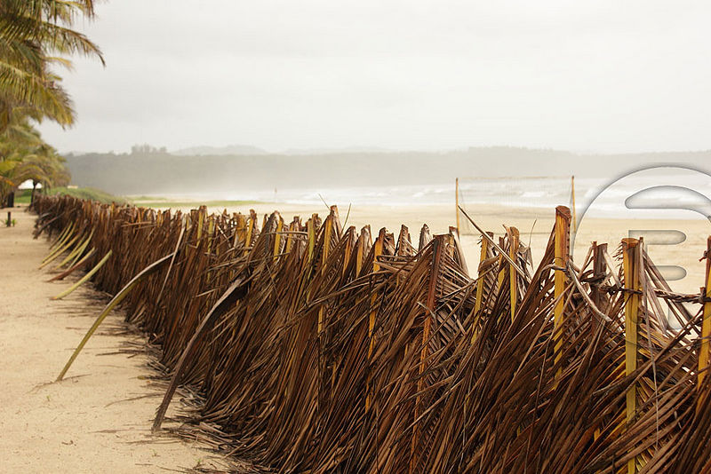 चित्र:White-Sand-Beach-South-Goa.jpg