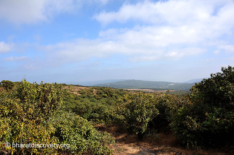 चित्र:Connaught-Peak-Mahabaleshwar-7.jpg