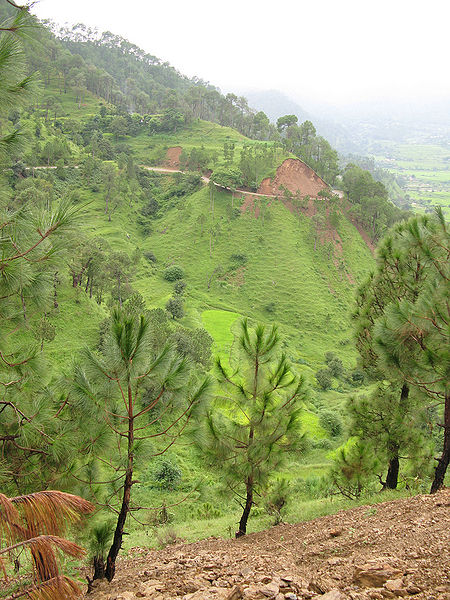 चित्र:Mountain-view.jpg