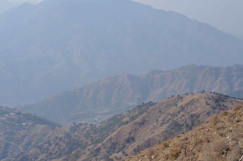 चित्र:Chail-7.jpg