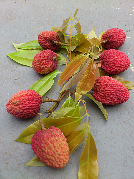 चित्र:Lychee-2.jpg