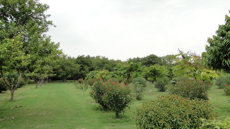चित्र:Mehtab-Bagh-Agra.jpg