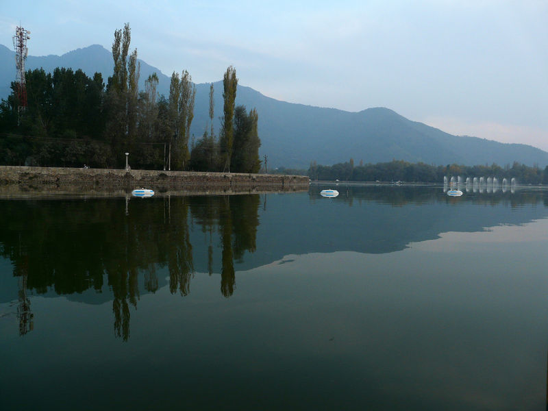 चित्र:Dal-Lake-Srinagar-5.jpg