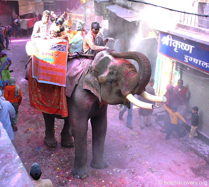 चित्र:Holi-Holigate-Mathura-12.jpg
