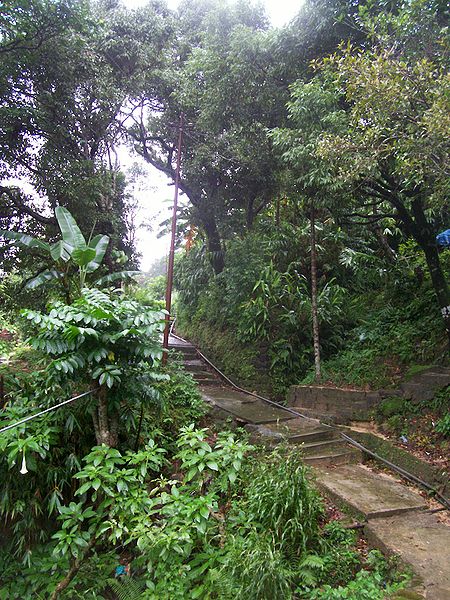 चित्र:Cherrapunjee-Village-Meghalaya.jpg