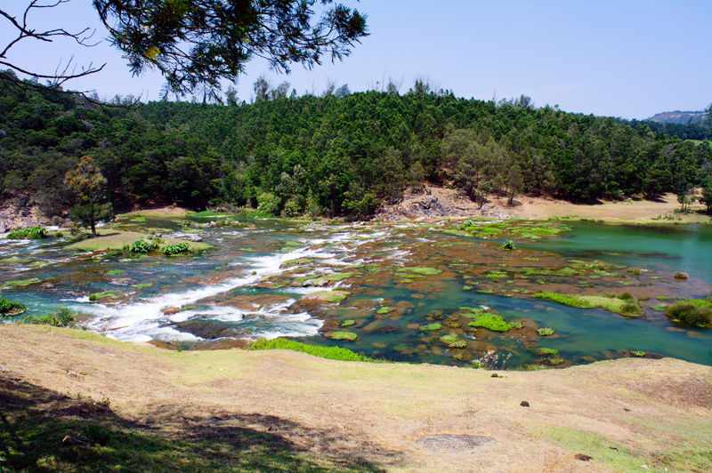 चित्र:Pykara-River-and-Falls-8.jpg