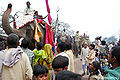 रथ यात्रा, रंग नाथ जी मन्दिर, वृन्दावन Rath Yatra, Rang Nath Ji Temple, Vrindavan