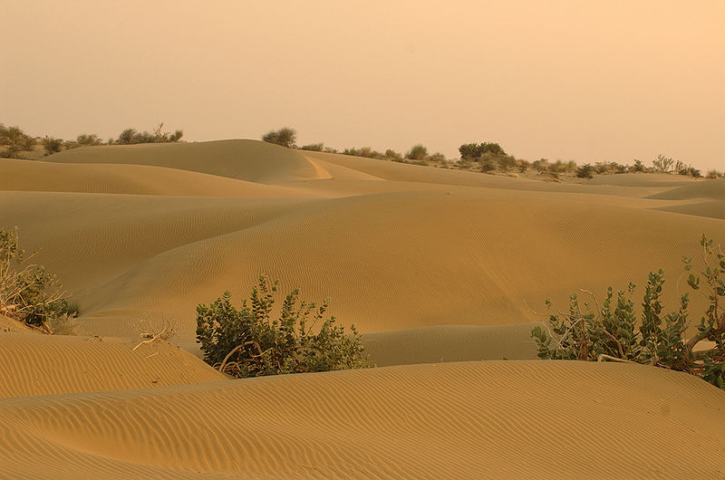 चित्र:Thar desert.jpg