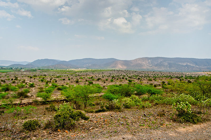 चित्र:Sariska-Alwar-3.jpg
