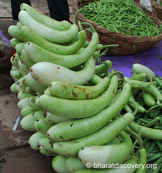 चित्र:Calabash.jpg