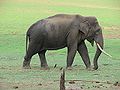 06:08, 14 जून 2010 के संस्करण का थंबनेल संस्करण