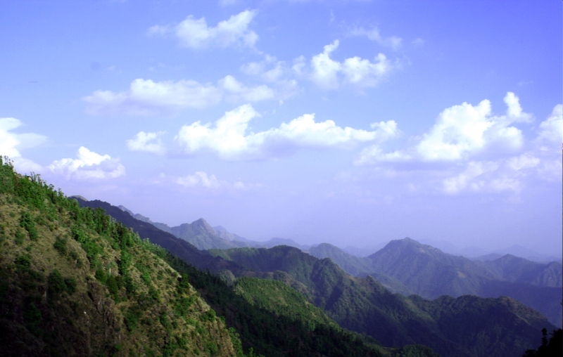 चित्र:Dhanaulti-7.jpg