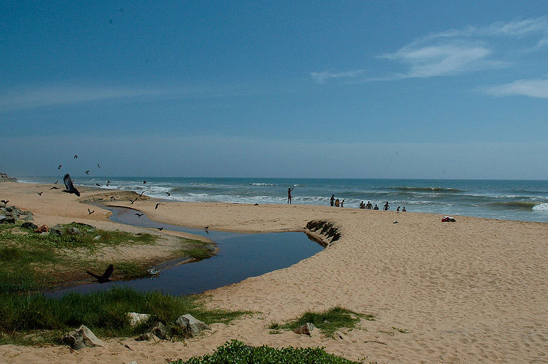 चित्र:Varkala-Beach-1.jpg