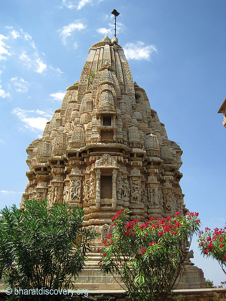चित्र:Chittorgarh-Fort-12.jpg