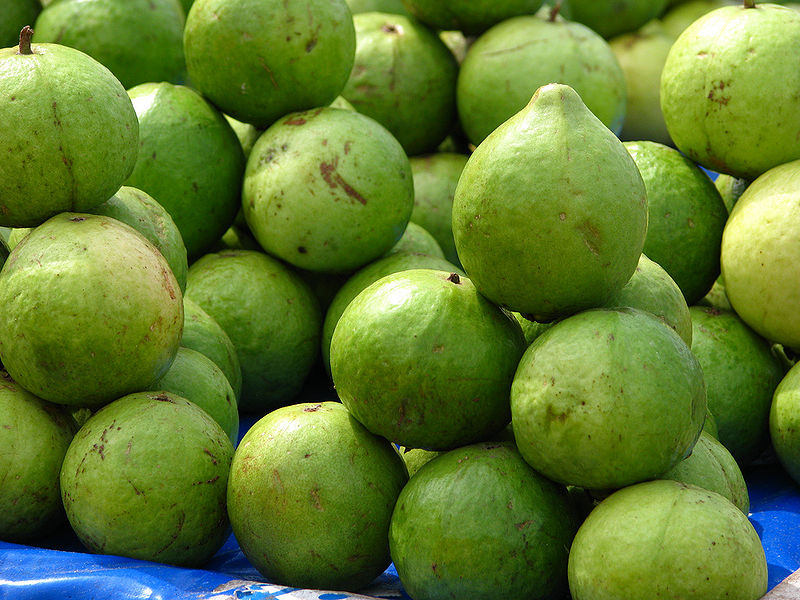 चित्र:Guava-1.jpg