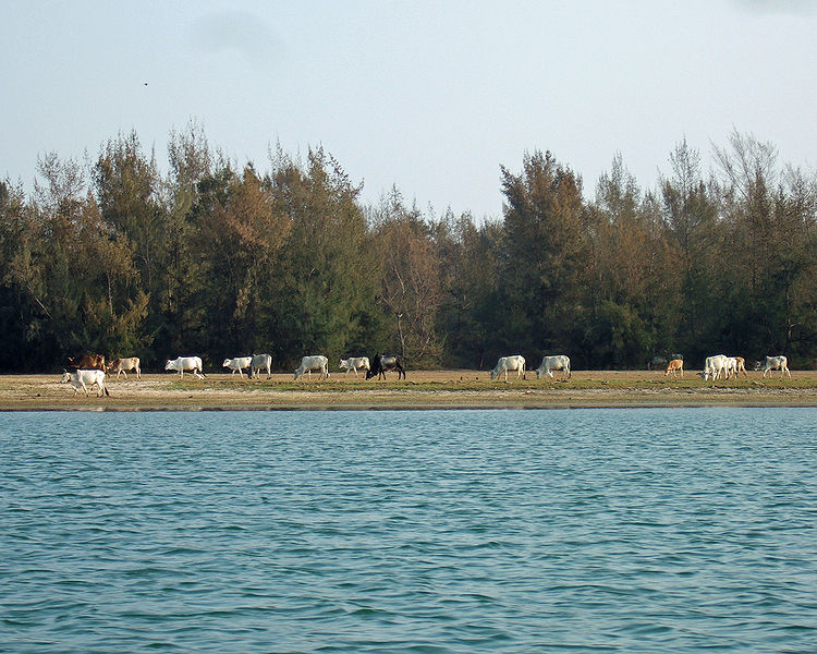 चित्र:Chilika-Lake.jpg