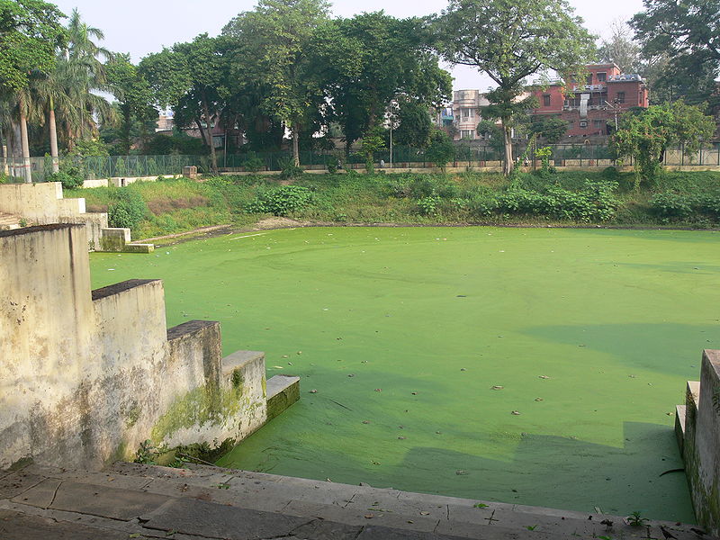 चित्र:Matsyodari-kund-kampani-varanasi.jpg