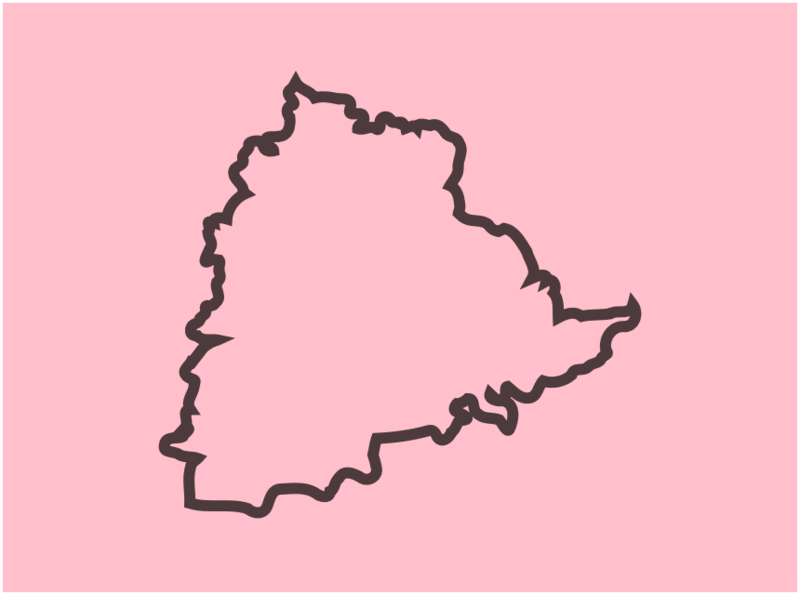 चित्र:TRS Flag.jpg