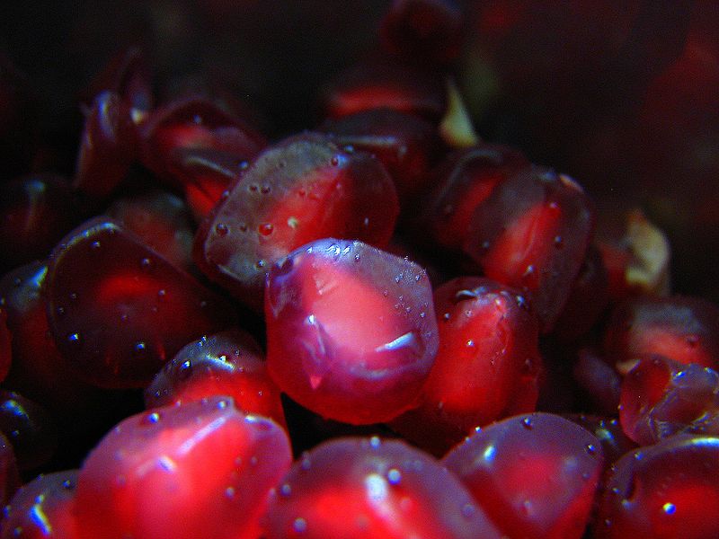 चित्र:Pomegranate-1.jpg