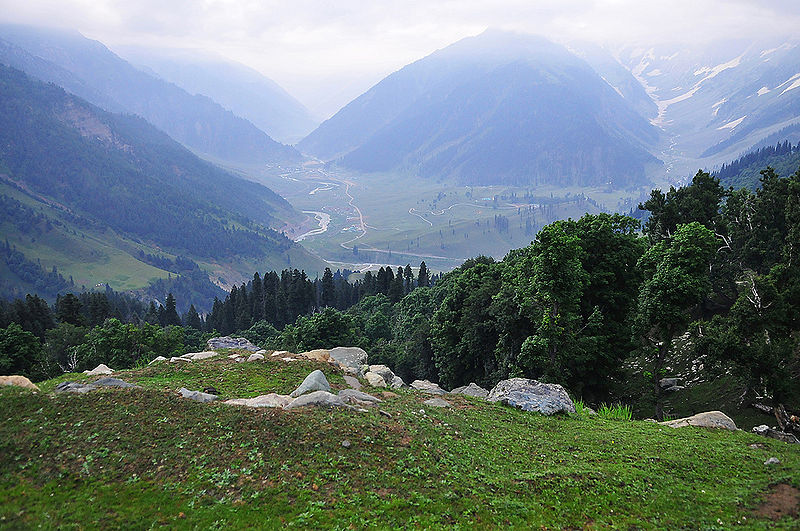 चित्र:Sonamarg-1.jpg
