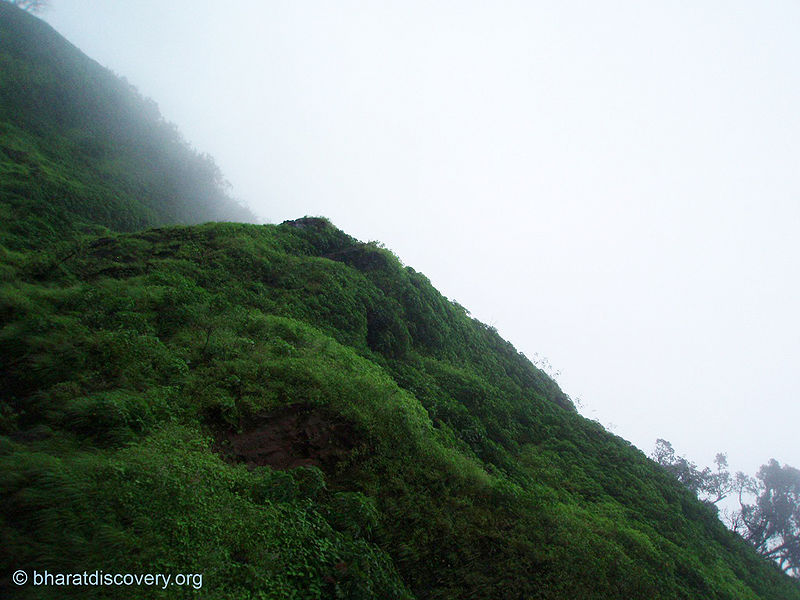 चित्र:Dudhsagar-Waterfall-Goa-6.jpg