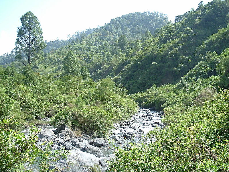 चित्र:Jeolikot-Nainital.jpg