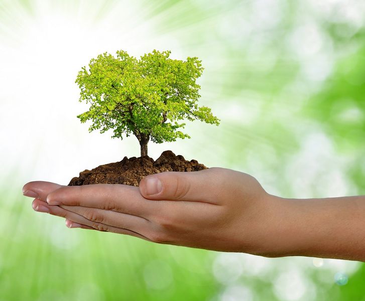 चित्र:World-Environment-Protection-Day.jpg