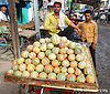 Cantaloupe-4.jpg