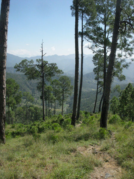 चित्र:Almora-4.jpg
