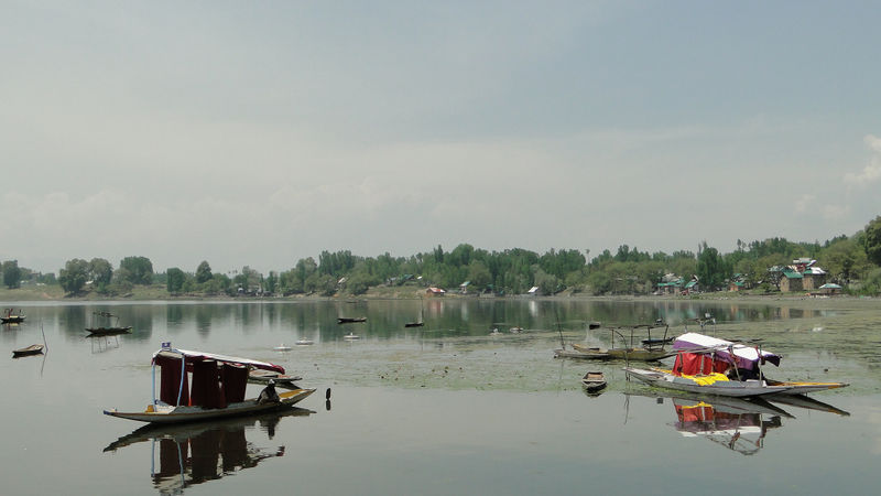 चित्र:Shikaras-in-the-lake.jpg