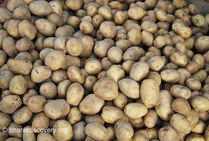 चित्र:Potatoes-2.jpg