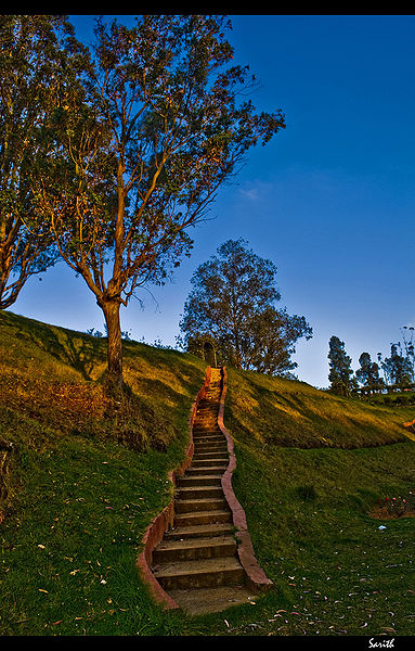 चित्र:Rose-Garden-Ooty-3.jpg